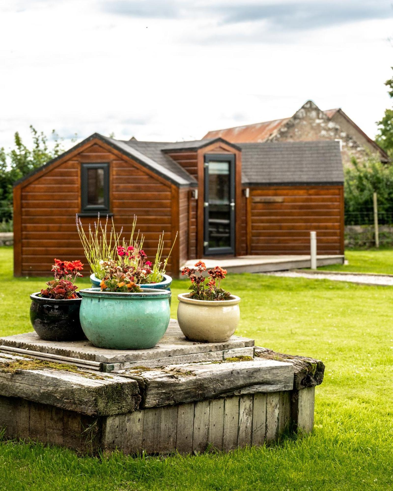Delny Glamping And Farm Animals Hotel Invergordon Ngoại thất bức ảnh