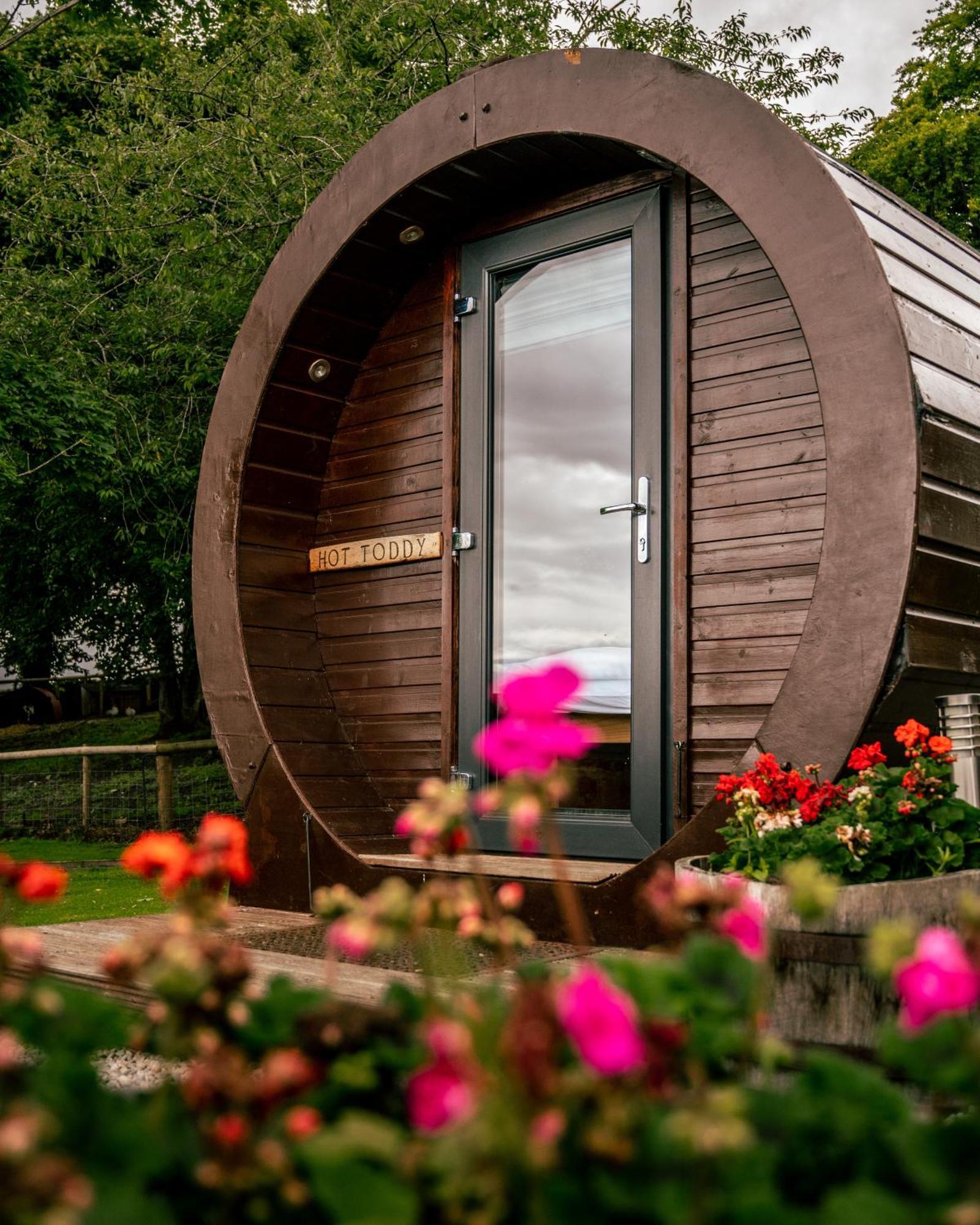Delny Glamping And Farm Animals Hotel Invergordon Ngoại thất bức ảnh